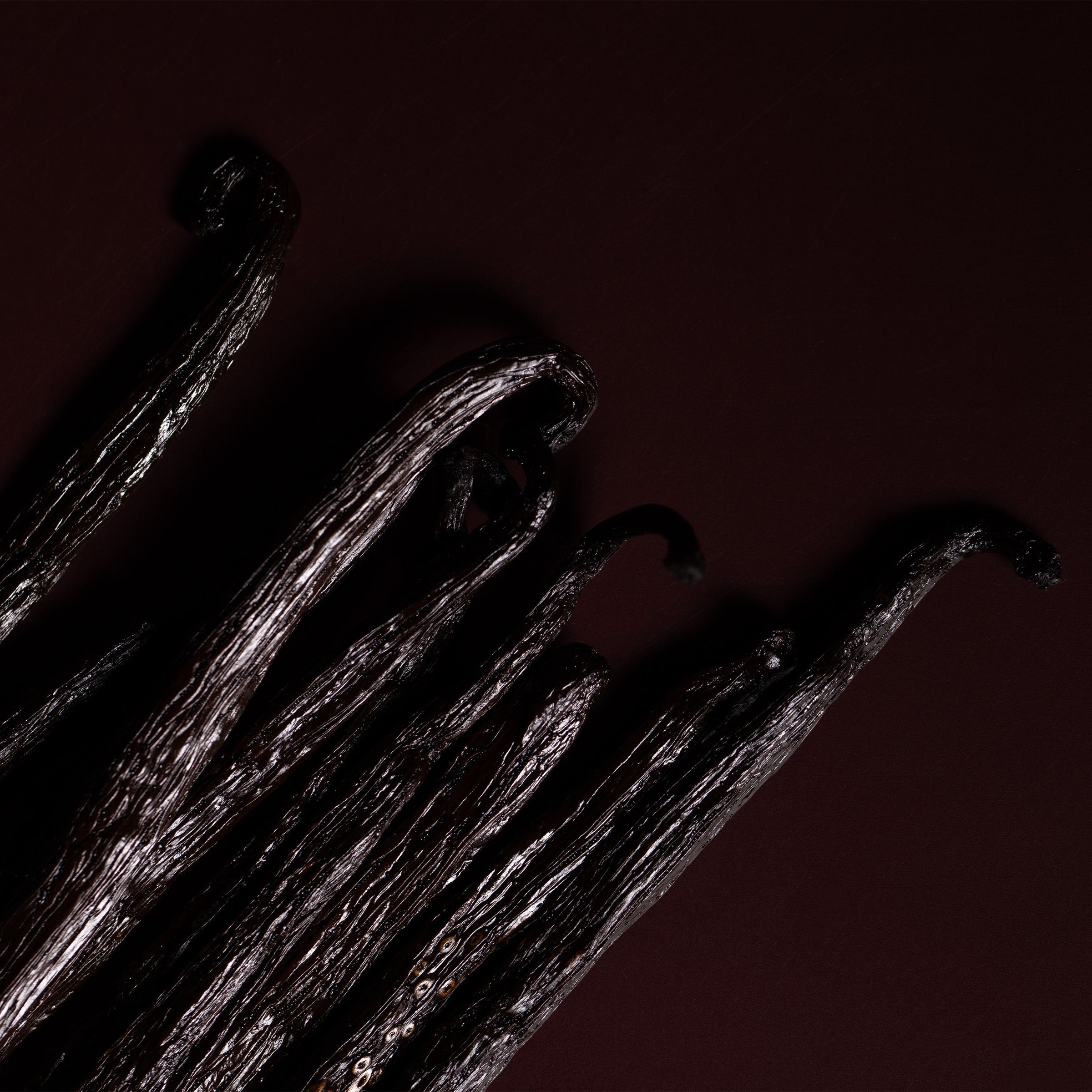 Vanilla beans on a dark brown background