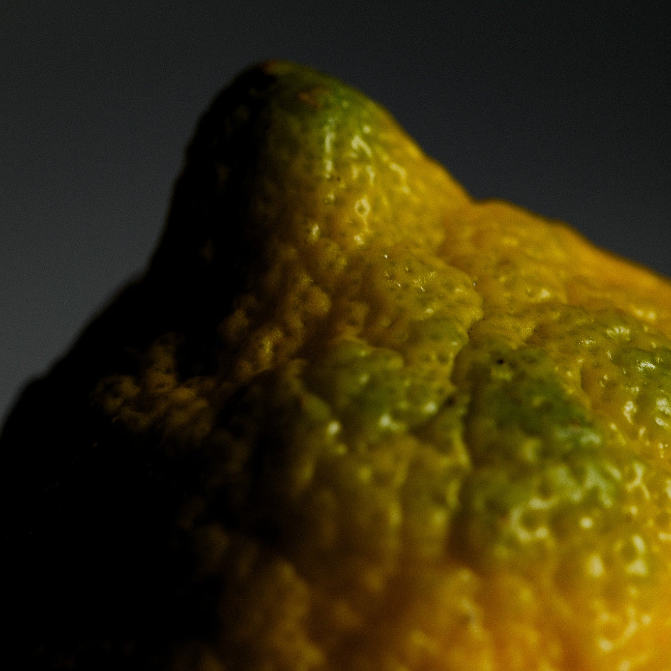 Close-up of a citrus fruit with a dark background