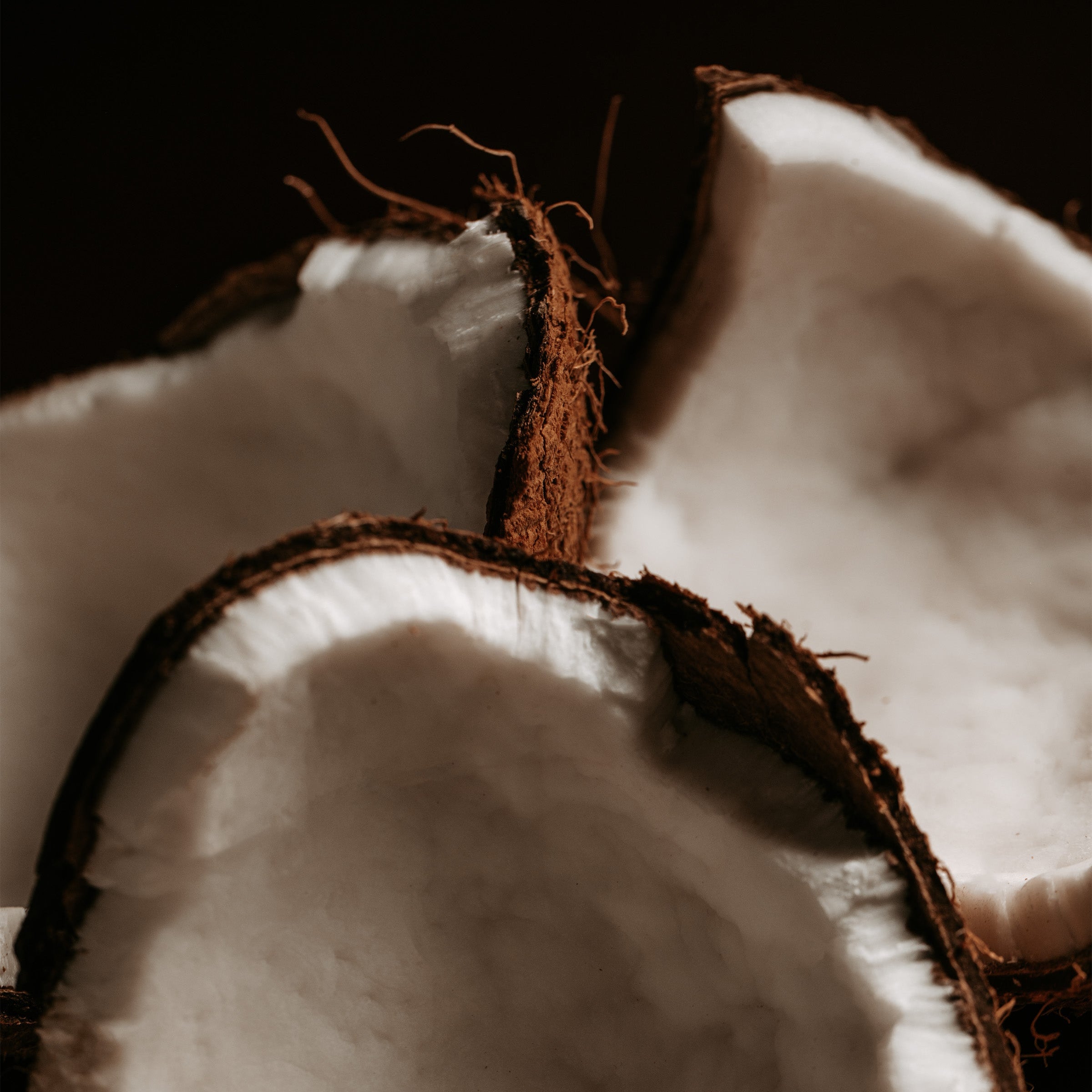 Close-up of a halved coconut with a dark background