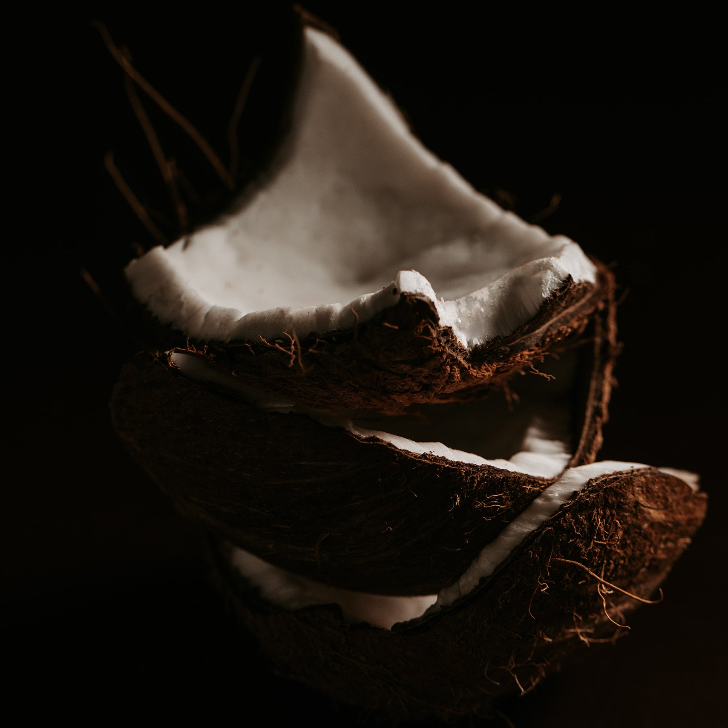 Coconut with a dark background