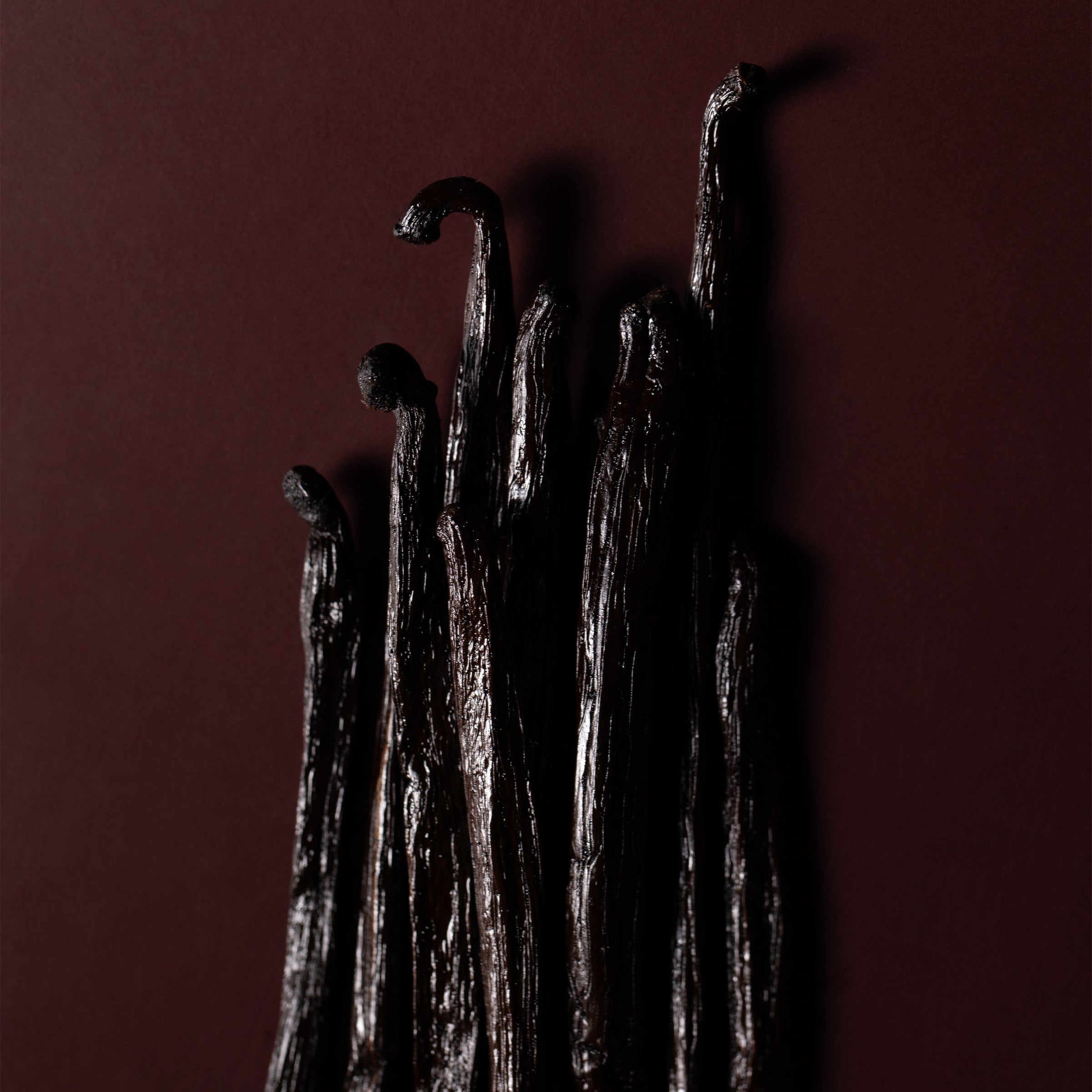 Vanilla beans on a dark red background